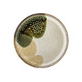 Farfurie desert, Bloomingville, Jules, 22x2 cm, ceramica, verde