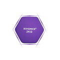 Set gantere 2 x 2 kg, Songmics, neopren, violet