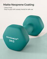 Set gantere 2 x 3 kg, Songmics, neopren, teal