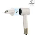 Uscator de par Fashion TV, Matte Cream-Gold, 1350-1600W, 3 viteze, 3 trepte de temperatura, crem