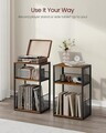 Suport pentru pick-up, Vasagle, spatiu depozitare pana la 100 discuri, 43x30x69 cm, maro rustic
