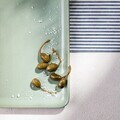 Platou servire sushi Okinawa, Homla, 41x22 cm, ceramica, verde