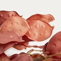 Coronita Verdea, Homla, 60 cm, plastic, rosu