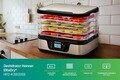 Deshidrator fructe si legume EliteDry, Heinner, 320-380W, argintiu/negru