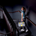 Aspirator cu abur SG 4/2 Classic, Karcher, gri