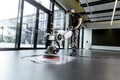Masina monodisc BDS 43/ Orbital C, Karcher, gri