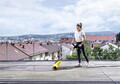 Aparat de curatat terase PCL 4, Karcher, galben