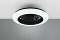 Plafoniera cu ventilator Stralsund, RL, 49x15 cm, 30W, 1x SMD LED, plastic, alb/negru mat