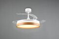Plafoniera cu ventilator Volda, RL, 38x30.5 cm, 30W, 1x SMD, plastic/metal, alb/natur