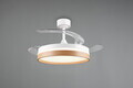 Plafoniera cu ventilator Volda, RL, 38x30.5 cm, 30W, 1x SMD, plastic/metal, alb/natur