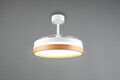 Plafoniera cu ventilator Volda, RL, 38x30.5 cm, 30W, 1x SMD, plastic/metal, alb/natur