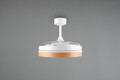 Plafoniera cu ventilator Volda, RL, 38x30.5 cm, 30W, 1x SMD, plastic/metal, alb/natur