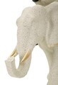 Statueta / figurina decorativa, Mauro Ferretti, African Woman on Elephant, 29x13x29 cm, polirasina, nisip