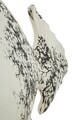 Statueta / figurina decorativa, Mauro Ferretti, Fish-Shaped, 37x19x34 cm, polirasina, alb/negru