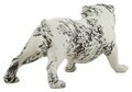 Statueta / figurina decorativa, Mauro Ferretti, Bulldog Dog, 38x18.5x21 cm, polirasina, alb/negru