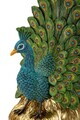 Opritor de carti 2 piese, Mauro Ferretti, Peacock Eclectic Style, 20x15x19 cm, polirasina, multicolor