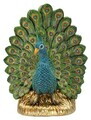 Opritor de carti 2 piese, Mauro Ferretti, Peacock Eclectic Style, 20x15x19 cm, polirasina, multicolor