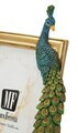 Rama foto, Mauro Ferretti, Eclectic-Style Peacock, 15x20 cm, polirasina, multicolor
