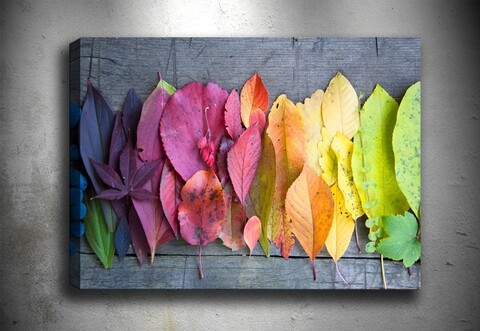 Tablou decorativ Autumn Palette, Tablo center, 50x70 cm, canvas, multicolor