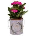 Ghiveci Clara, Creaciones Meng, 12.5x13 cm, metal galvanizat