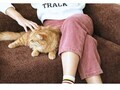 Fotoliu extensibil, Atelier del Sofa, 118FVL1102, Tesatura Boucle, Maro