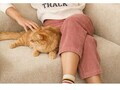 Fotoliu extensibil, Atelier del Sofa, 118FVL1103, Tesatura Boucle, Crem