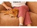 Fotoliu extensibil, Atelier del Sofa, 118FVL1104, Tesatura Boucle, Portocaliu