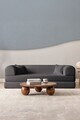 Canapea extensibila 3 locuri, Atelier del Sofa, 118FVL1306, Tesatura plus reiata, Antracit