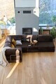 Coltar, Atelier del Sofa, 118FVL1408, Tesatura plus reiata, Maro