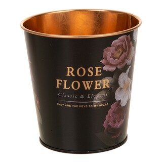 Multicolor, Rose Flower