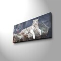 Ceas de perete, 3070CS-38, PÂNZĂ DIN PIELE ÎNTOARSĂ, 30 x 70 cm, Multicolor