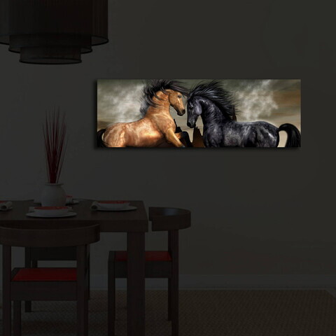 Tablou decorativ cu lumina LED, 3090İACT-45, PÂNZĂ DIN PIELE ÎNTOARSĂ, 30 x 90 cm, Multicolor