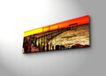 Tablou decorativ cu lumina LED, 3090İACT-46, PÂNZĂ DIN PIELE ÎNTOARSĂ, 30 x 90 cm, Multicolor