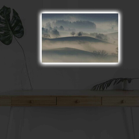 Tablou decorativ cu lumina LED, 4570DHDACT-124, PÂNZĂ DIN PIELE ÎNTOARSĂ, Dimensiune: 45 x 70 cm, Multicolor