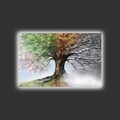 Tablou decorativ cu lumina LED, 4570HDACT-052, PÂNZĂ DIN PIELE ÎNTOARSĂ, Dimensiune: 45 x 70 cm, Multicolor
