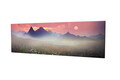 Tablou decorativ, PC030, Canvas, 30 x 80 cm, Multicolor