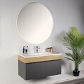 Dulap de baie cu chiuvetă și oglindă (2 Pieces), Hanah Home, Armonie, PAL, Fumuriu