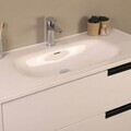Dulap de baie cu chiuvetă și oglindă (2 Pieces), Hanah Home, Septembrie, FINISAJ LAC MDF, Alb/Negru