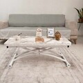 Masuta de cafea, Hanah Home, Mini Juppo Ext, MDF, Marmură albă / Alb