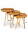 Set masute 3 piese, Hanah Home, Peka-152, PAL, Pin