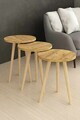 Set masute 3 piese, Hanah Home, Ck152Ck, PAL, Pin