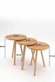 Set masute 3 piese, Hanah Home, Peka-152, PAL, Maro