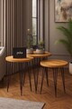 Set masute 3 piese, Hanah Home, Peka252, PAL, Pin