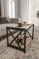Masuta de cafea, Hanah Home, Pls Room 1, 53x38x33 cm, PLASTIC LEMN, Negru