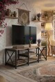 Comoda TV, Hanah Home, TV Unit Shelf, 110x40x38 cm, PLASTIC LEMN, Negru