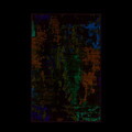 Covor, Eexfab566, 140x220 cm, Poliester, Multicolor