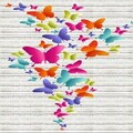 Covor, Eexfab726, 80x120 cm, Poliester, Multicolor