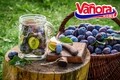 Borcan din sticla pentru depozitare, Vanora, 250 ml, transparent
