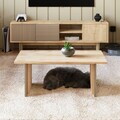 Set mobilier living, Hanah Home, Ravello, PAL, Stejar cald / Stejar safir