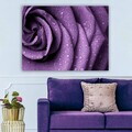 Tablou decorativ, 125041943_70100, Canvas, Rama din lemn (grosime 3 cm), Multicolor